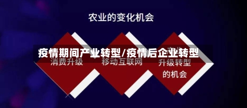 疫情期间产业转型/疫情后企业转型