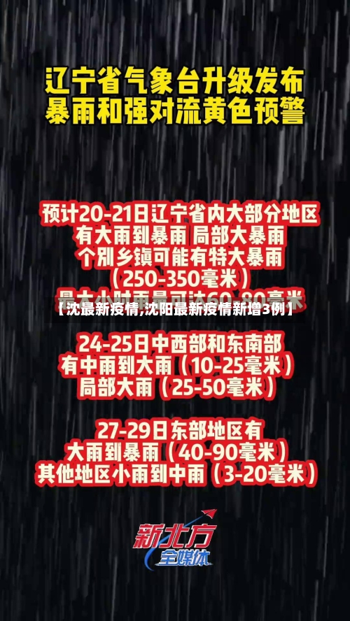 【沈最新疫情,沈阳最新疫情新增3例】-第2张图片