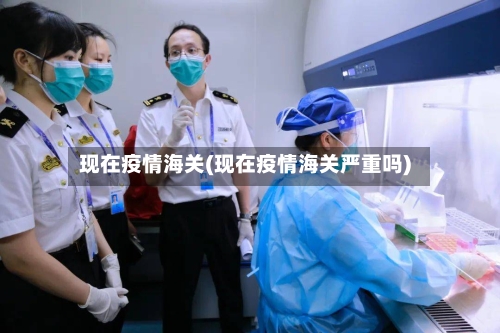 现在疫情海关(现在疫情海关严重吗)-第3张图片