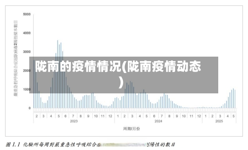 陇南的疫情情况(陇南疫情动态)-第2张图片