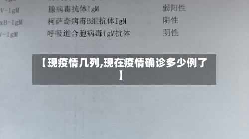 【现疫情几列,现在疫情确诊多少例了】