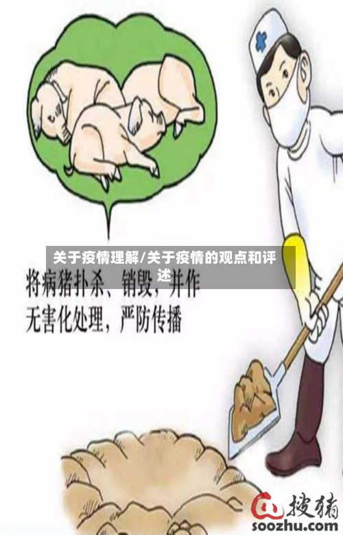 关于疫情理解/关于疫情的观点和评述