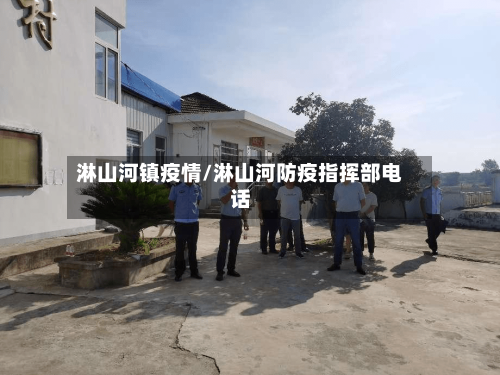 淋山河镇疫情/淋山河防疫指挥部电话-第2张图片