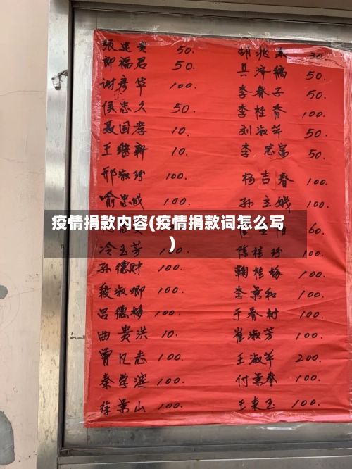 疫情捐款内容(疫情捐款词怎么写)-第3张图片