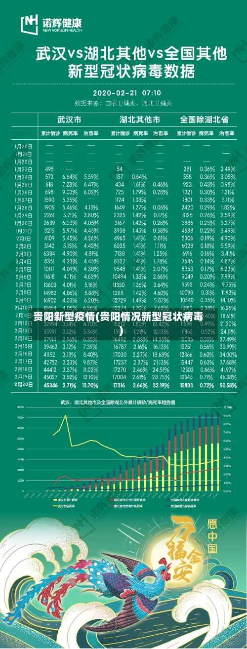 贵阳新型疫情(贵阳情况新型冠状病毒)-第2张图片