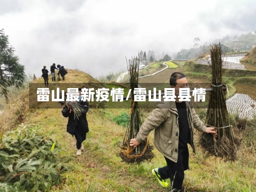 雷山最新疫情/雷山县县情