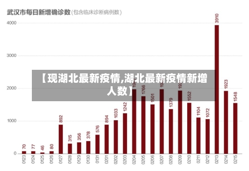 【现湖北最新疫情,湖北最新疫情新增人数】-第2张图片