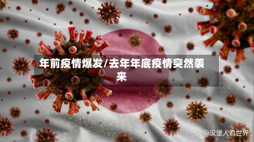 年前疫情爆发/去年年底疫情突然袭来-第3张图片