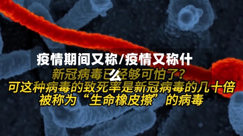 疫情期间又称/疫情又称什么