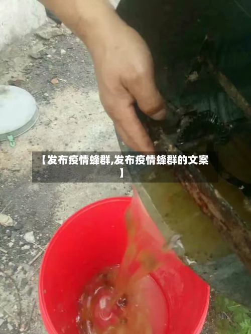 【发布疫情蜂群,发布疫情蜂群的文案】