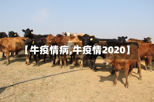 【牛疫情病,牛疫情2020】-第3张图片