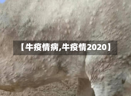 【牛疫情病,牛疫情2020】