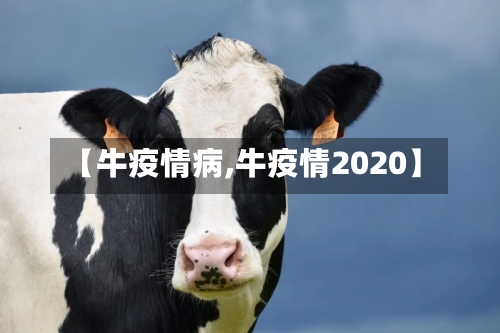 【牛疫情病,牛疫情2020】-第2张图片
