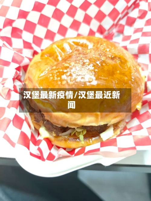 汉堡最新疫情/汉堡最近新闻