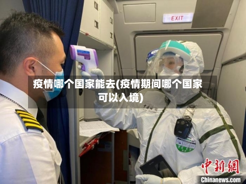 疫情哪个国家能去(疫情期间哪个国家可以入境)