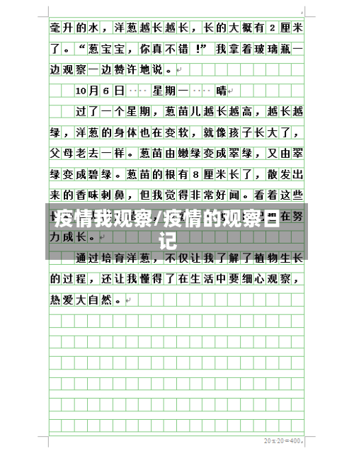 疫情我观察/疫情的观察日记-第3张图片