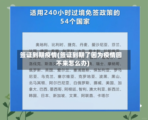 签证到期疫情(签证到期了因为疫情回不来怎么办)-第3张图片