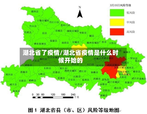 湖北省了疫情/湖北省疫情是什么时候开始的-第2张图片