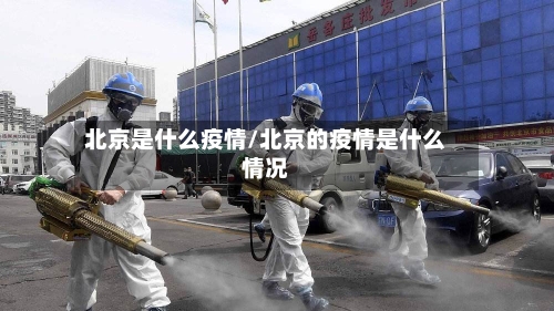 北京是什么疫情/北京的疫情是什么情况-第2张图片