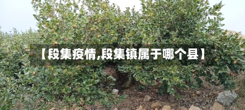 【段集疫情,段集镇属于哪个县】-第3张图片