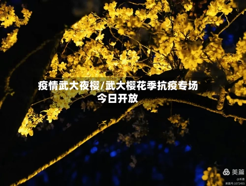疫情武大夜樱/武大樱花季抗疫专场今日开放-第2张图片