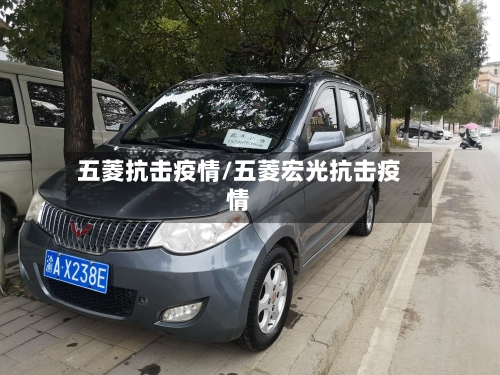 五菱抗击疫情/五菱宏光抗击疫情