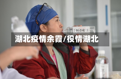 湖北疫情余霞/役情湖北-第3张图片