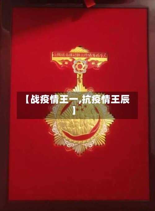 【战疫情王一,抗疫情王辰】