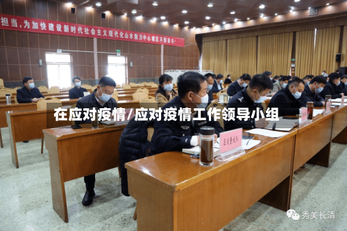 在应对疫情/应对疫情工作领导小组-第3张图片