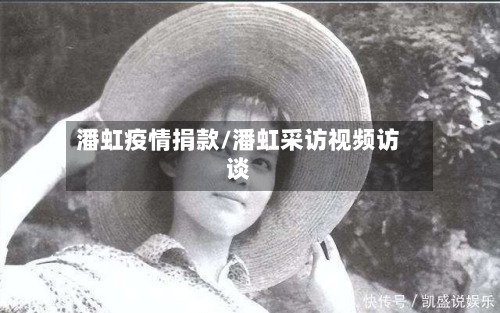 潘虹疫情捐款/潘虹采访视频访谈