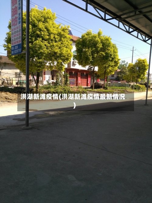 洪湖新滩疫情(洪湖新滩疫情最新情况)