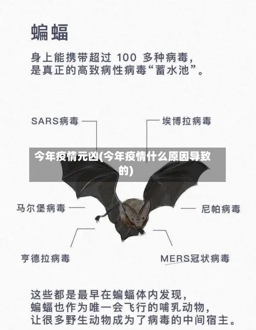 今年疫情元凶(今年疫情什么原因导致的)-第2张图片
