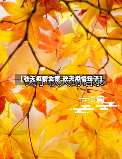 【秋天疫情文案,秋天疫情句子】-第2张图片