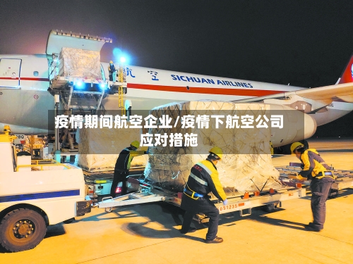 疫情期间航空企业/疫情下航空公司应对措施