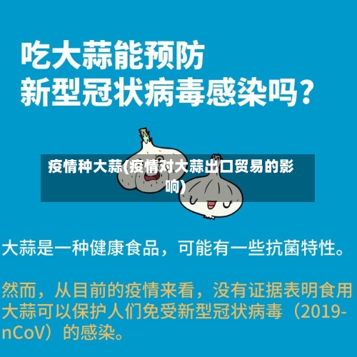 疫情种大蒜(疫情对大蒜出口贸易的影响)-第2张图片