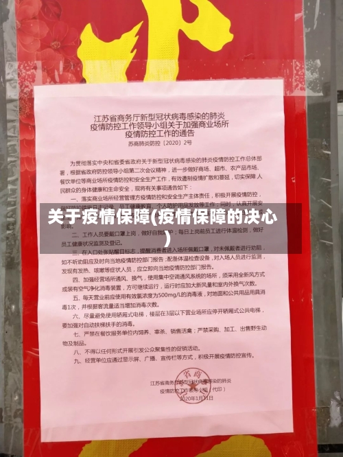 关于疫情保障(疫情保障的决心)-第2张图片