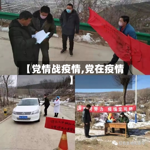【党情战疫情,党在疫情】-第2张图片