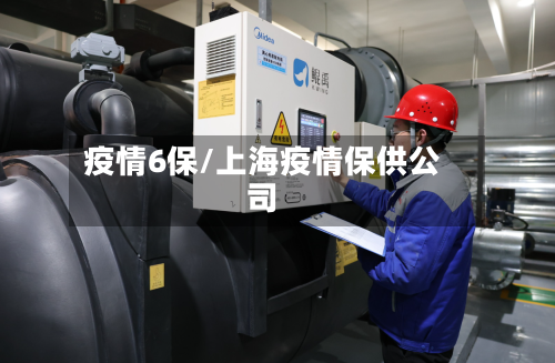 疫情6保/上海疫情保供公司