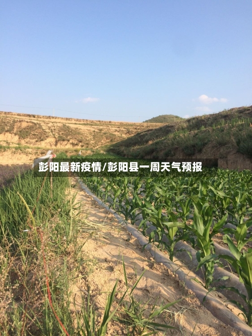 彭阳最新疫情/彭阳县一周天气预报