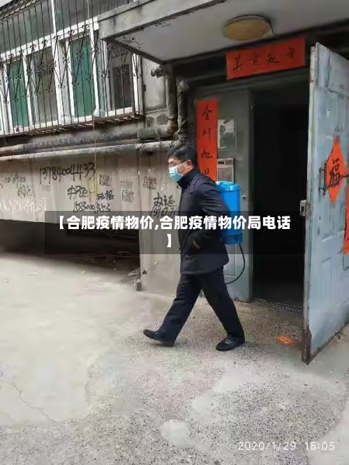 【合肥疫情物价,合肥疫情物价局电话】-第3张图片