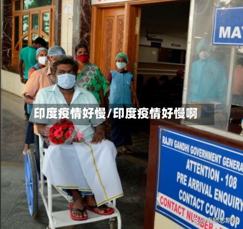 印度疫情好慢/印度疫情好慢啊