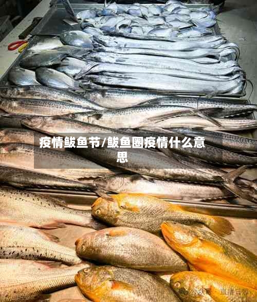 疫情鲅鱼节/鲅鱼圈疫情什么意思-第2张图片