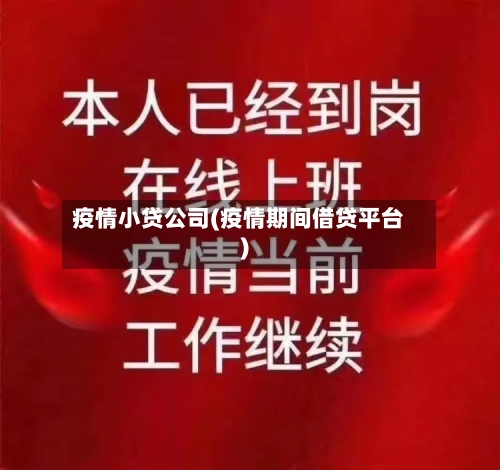 疫情小贷公司(疫情期间借贷平台)