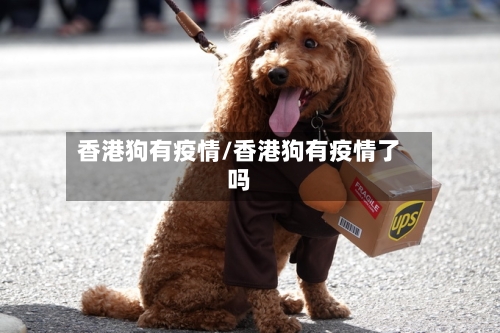 香港狗有疫情/香港狗有疫情了吗-第2张图片