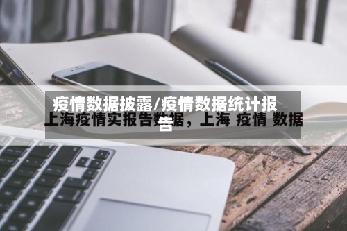 疫情数据披露/疫情数据统计报告-第2张图片
