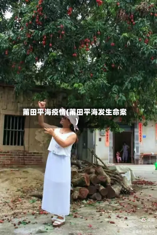 莆田平海疫情(莆田平海发生命案)