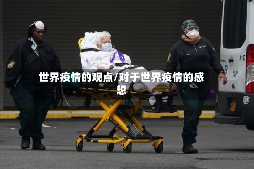 世界疫情的观点/对于世界疫情的感想-第2张图片