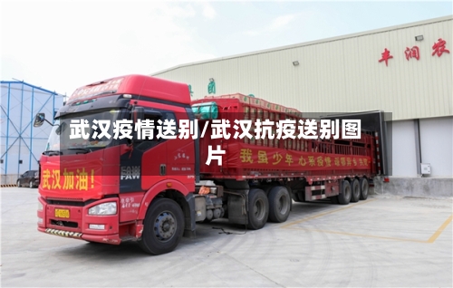 武汉疫情送别/武汉抗疫送别图片