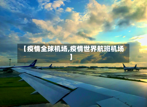 【疫情全球机场,疫情世界航班机场】