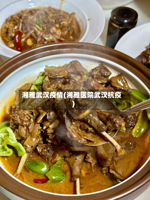 湘雅武汉疫情(湘雅医院武汉抗疫)-第2张图片